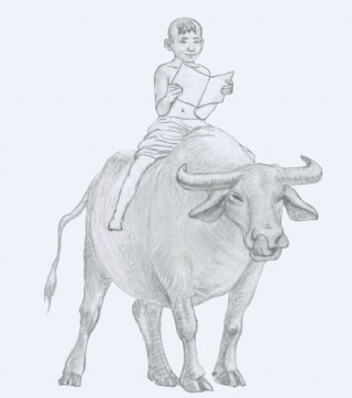 牧童 牛 小男孩