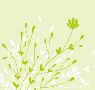 淡绿背景 绿色枝条插画