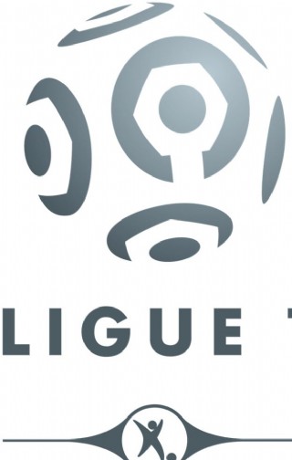 法国足球甲级联赛徽标