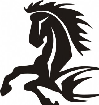 马摄影图片马写真壁纸图片-图行天下图库