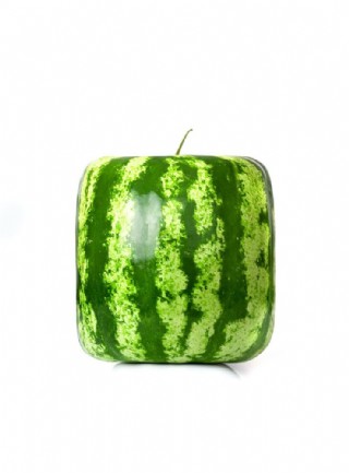 正方形西瓜图片
