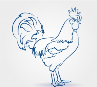 手绘公鸡