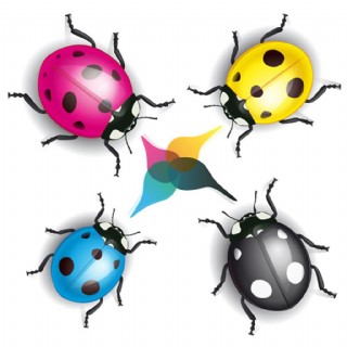 彩色逼真瓢虫矢量素材