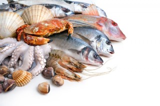 海鲜食材摄影图片
