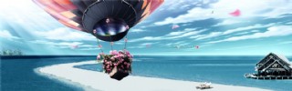 热气球花卉